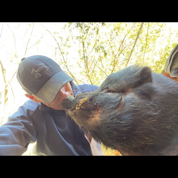 Meet your Posher, Steve - Picture 1 of 1